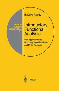 Vorderes Coverbild Introductory Functional Analysis