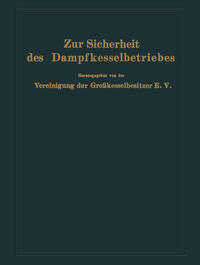 Vorderes Coverbild Zur Sicherheit des Dampfkesselbetriebes