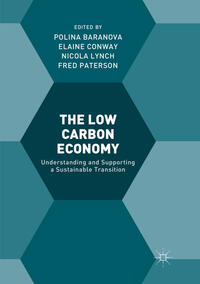Vorderes Coverbild The Low Carbon Economy