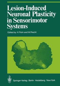 Vorderes Coverbild Lesion-Induced Neuronal Plasticity in Sensorimotor Systems