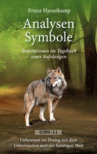 Vorderes Coverbild Analysen Symbole 6309-6311