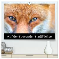 Vorderes Coverbild Auf den Spuren der Stadtfüchse (hochwertiger Premium Wandkalender 2025 DIN A2 quer), Kunstdruck in Hochglanz