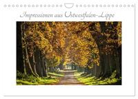 Vorderes Coverbild Impressionen aus Ostwestfalen-Lippe (Wandkalender 2026 DIN A4 quer), CALVENDO Monatskalender