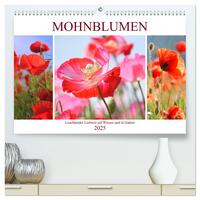 Vorderes Coverbild Mohnblumen. Leuchtender Liebreiz auf Wiesen und in Gärten (hochwertiger Premium Wandkalender 2025 DIN A2 quer), Kunstdruck in Hochglanz