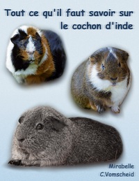 Vorderes Coverbild Tout ce qu'il faut savoir sur le cochon d'inde (nouvelle édition)