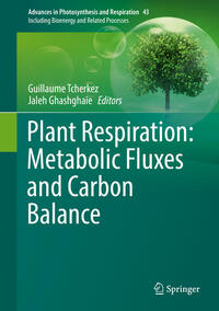 Vorderes Coverbild Plant Respiration: Metabolic Fluxes and Carbon Balance