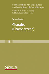 Vorderes Coverbild Süßwasserflora von Mitteleuropa, Bd. 18: Charales