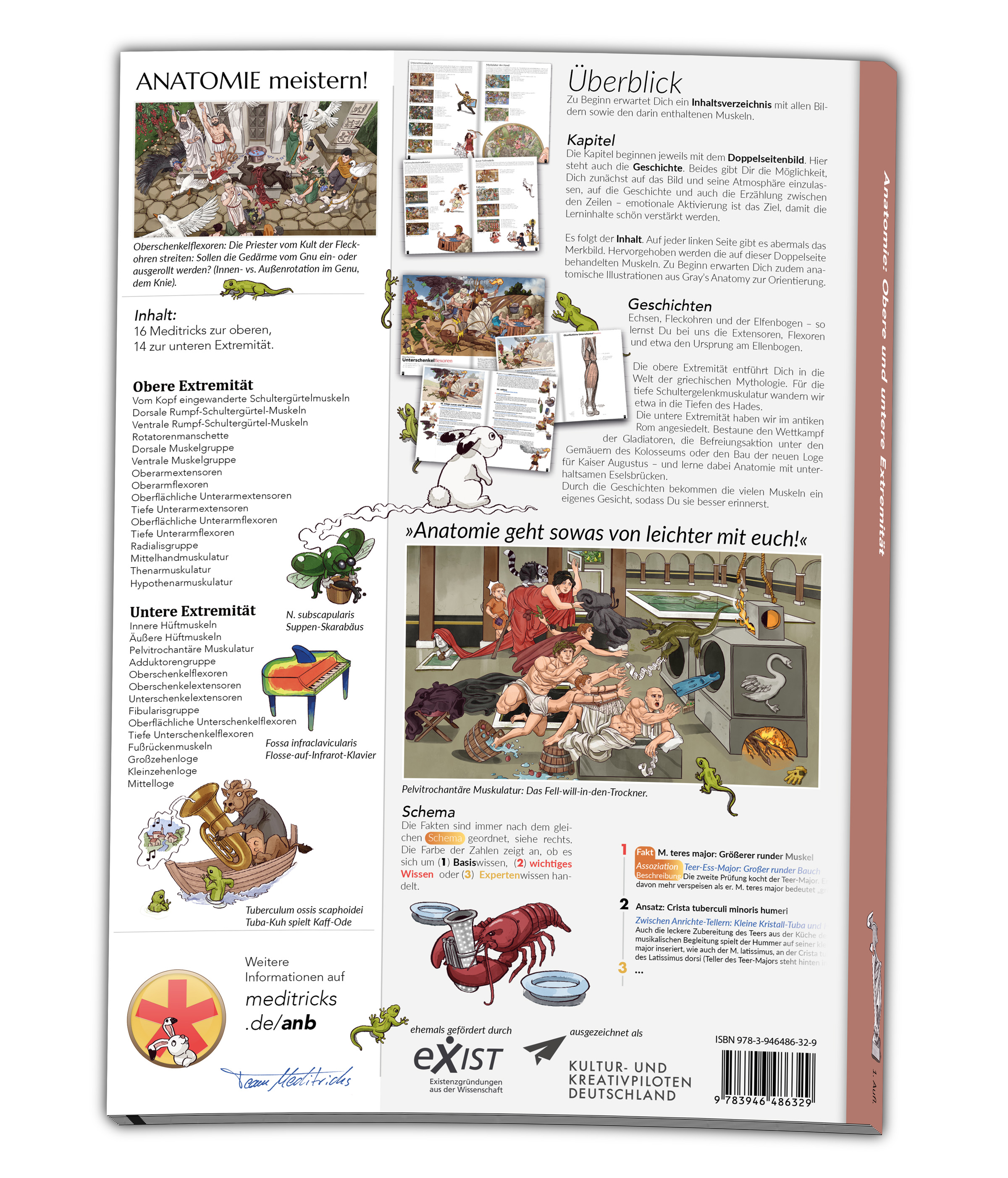 Rückseitencover Meditricks Anatomie