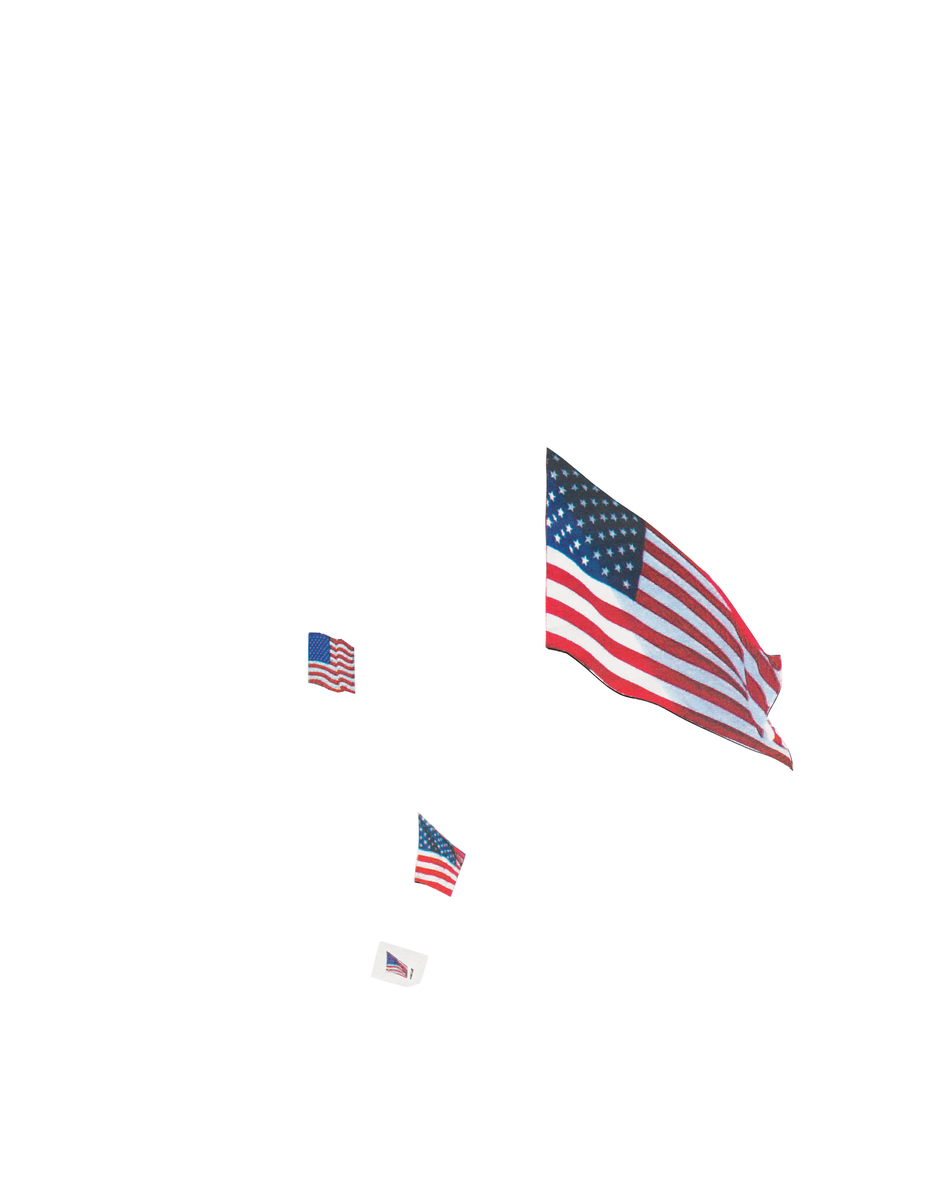 Beispielinhalt (Bild) NEW YORK POST flag profile