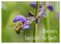 Vorderes Coverbild Bienen bei der Arbeit (Tischkalender 2025 DIN A5 quer), CALVENDO Monatskalender
