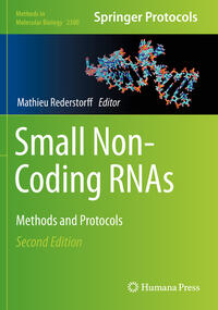 Vorderes Coverbild Small Non-Coding RNAs