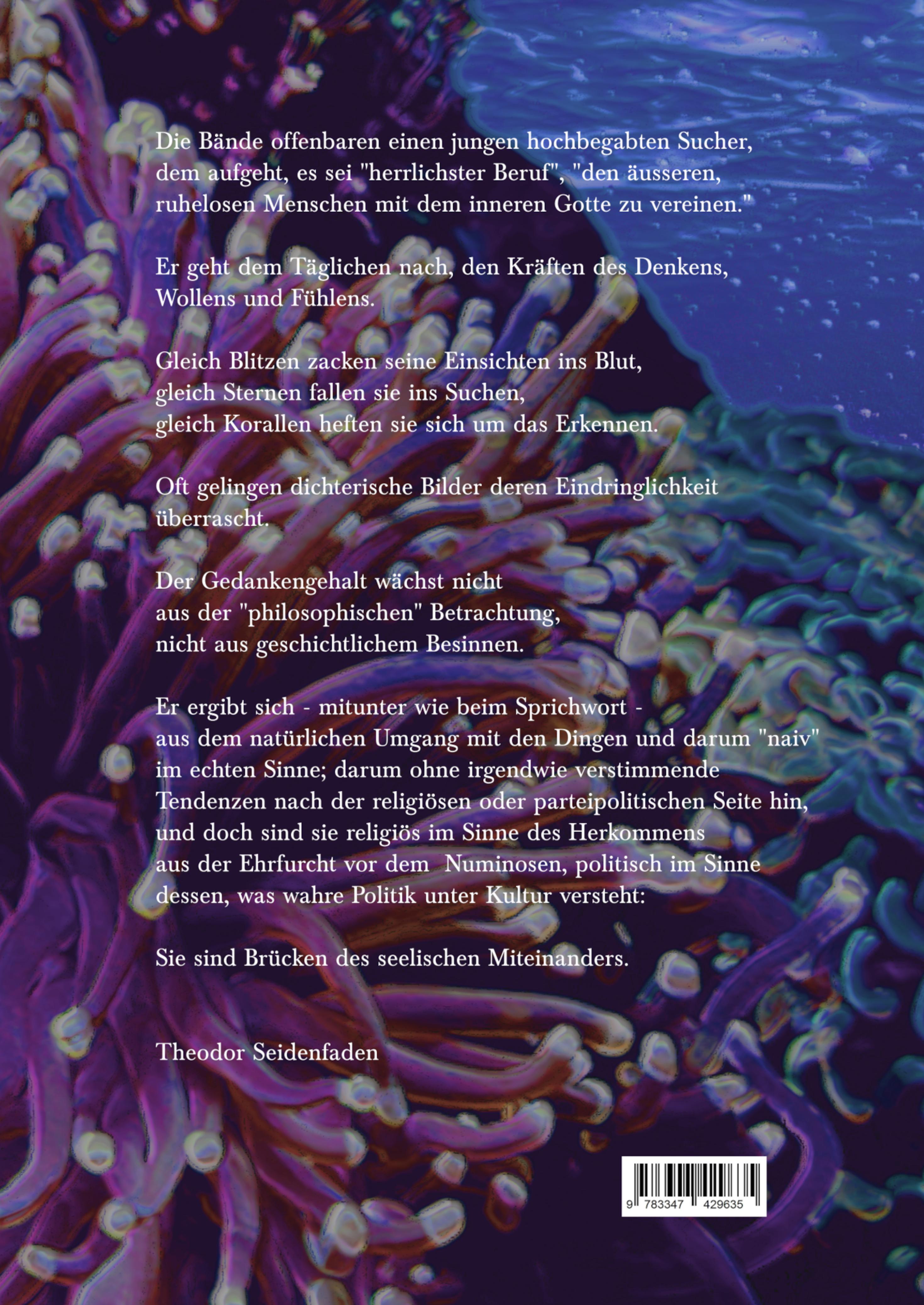 Rückseitencover Medium III