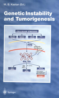 Vorderes Coverbild Genetic Instability and Tumorigenesis