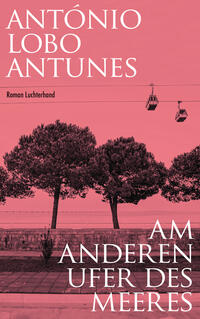 Vorderes Coverbild Am anderen Ufer des Meeres