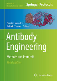 Vorderes Coverbild Antibody Engineering
