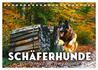 Vorderes Coverbild Schäferhunde - Die gutmütigen Wegbegleiter. (Tischkalender 2025 DIN A5 quer), CALVENDO Monatskalender