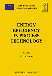 Vorderes Coverbild Energy Efficiency in Process Technology