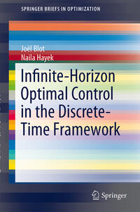 Vorderes Coverbild Infinite-Horizon Optimal Control in the Discrete-Time Framework