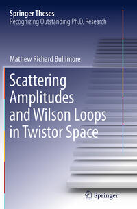Vorderes Coverbild Scattering Amplitudes and Wilson Loops in Twistor Space