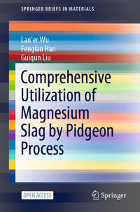 Vorderes Coverbild Comprehensive Utilization of Magnesium Slag by Pidgeon Process