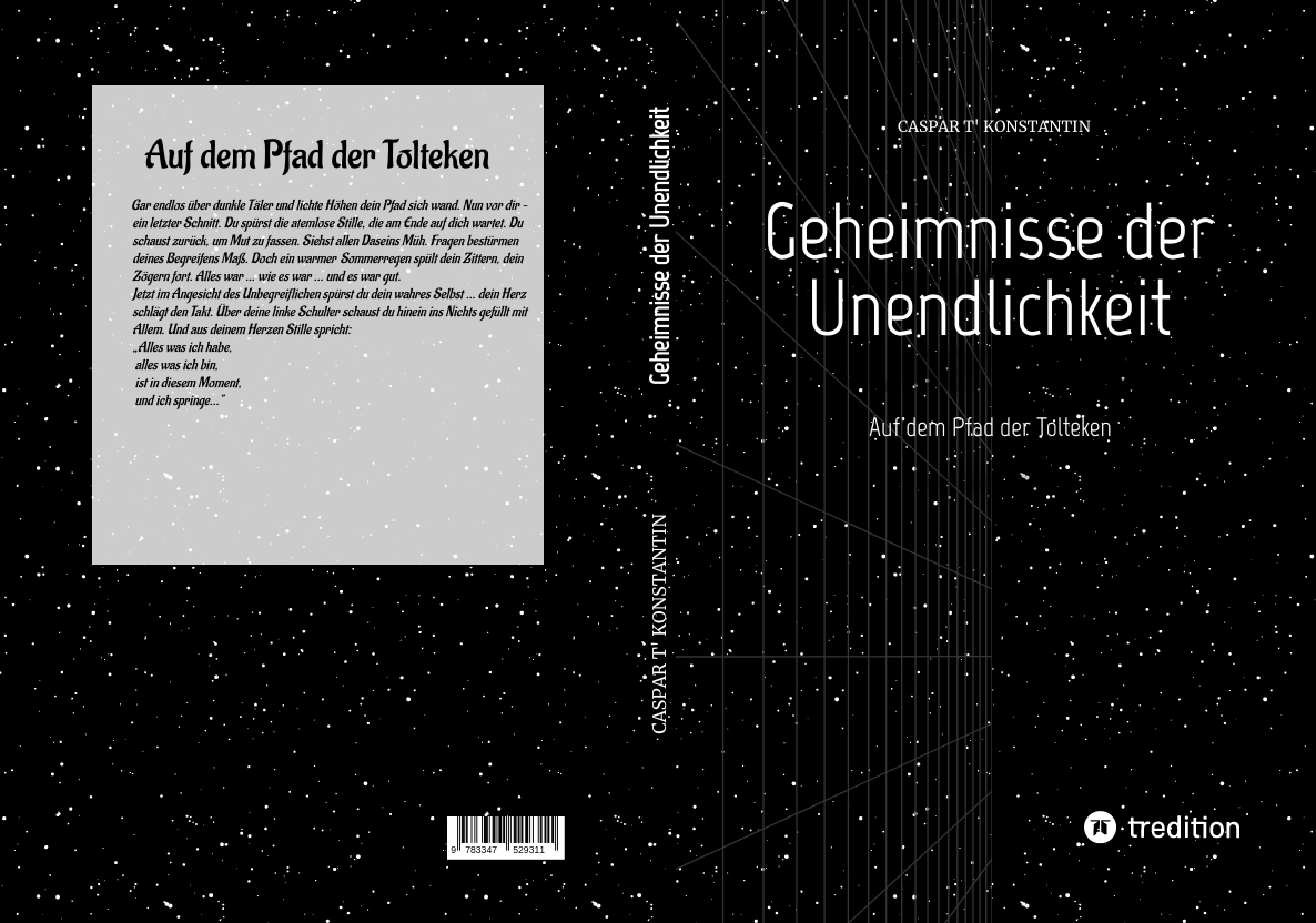 Gesamtes Coverbild Geheimnisse der Unendlichkeit