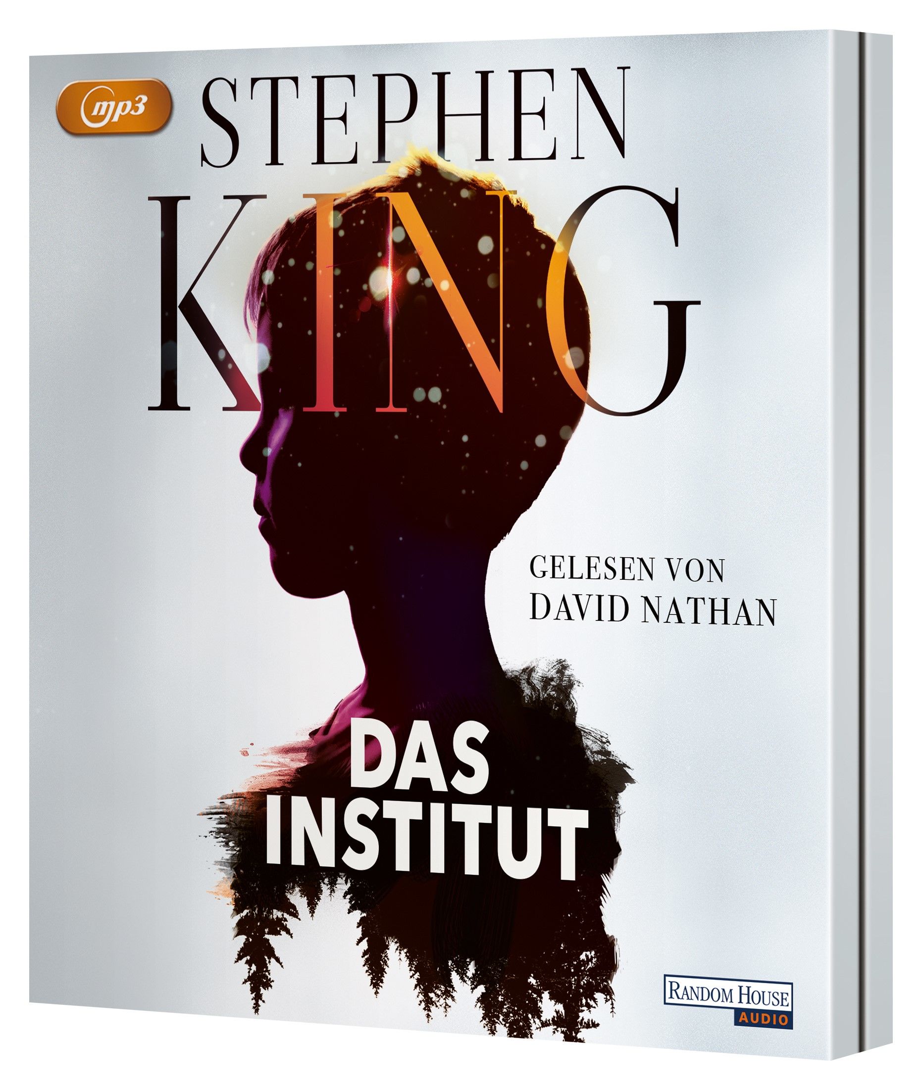 Beispielinhalt (Bild) Das Institut