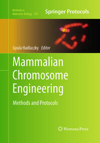 Vorderes Coverbild Mammalian Chromosome Engineering