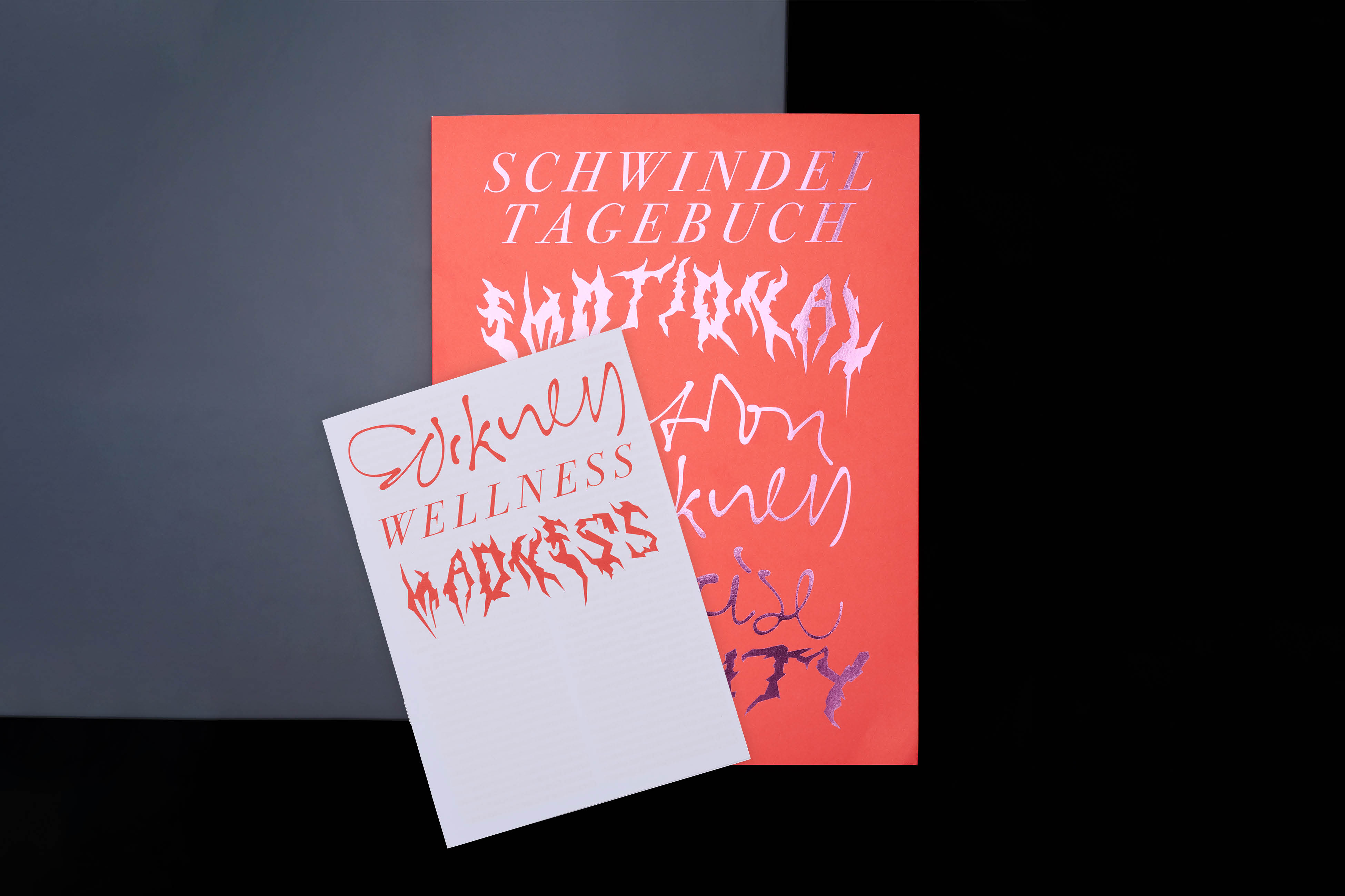 Gesamtes Coverbild Schwindeltagebuch
