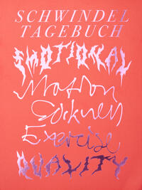 Vorderes Coverbild Schwindeltagebuch