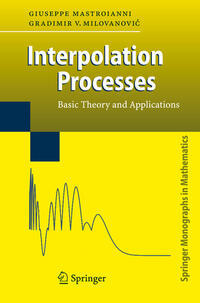 Vorderes Coverbild Interpolation Processes