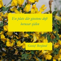 Vorderes Coverbild En plats där ginstens doft berusar själen