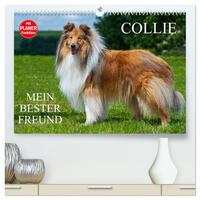 Vorderes Coverbild Collie - Mein bester Freund (hochwertiger Premium Wandkalender 2025 DIN A2 quer), Kunstdruck in Hochglanz