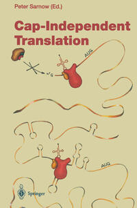 Vorderes Coverbild Cap-Independent Translation
