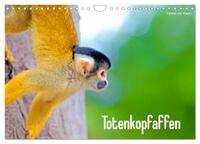 Vorderes Coverbild Totenkopfaffen (Wandkalender 2026 DIN A4 quer), CALVENDO Monatskalender