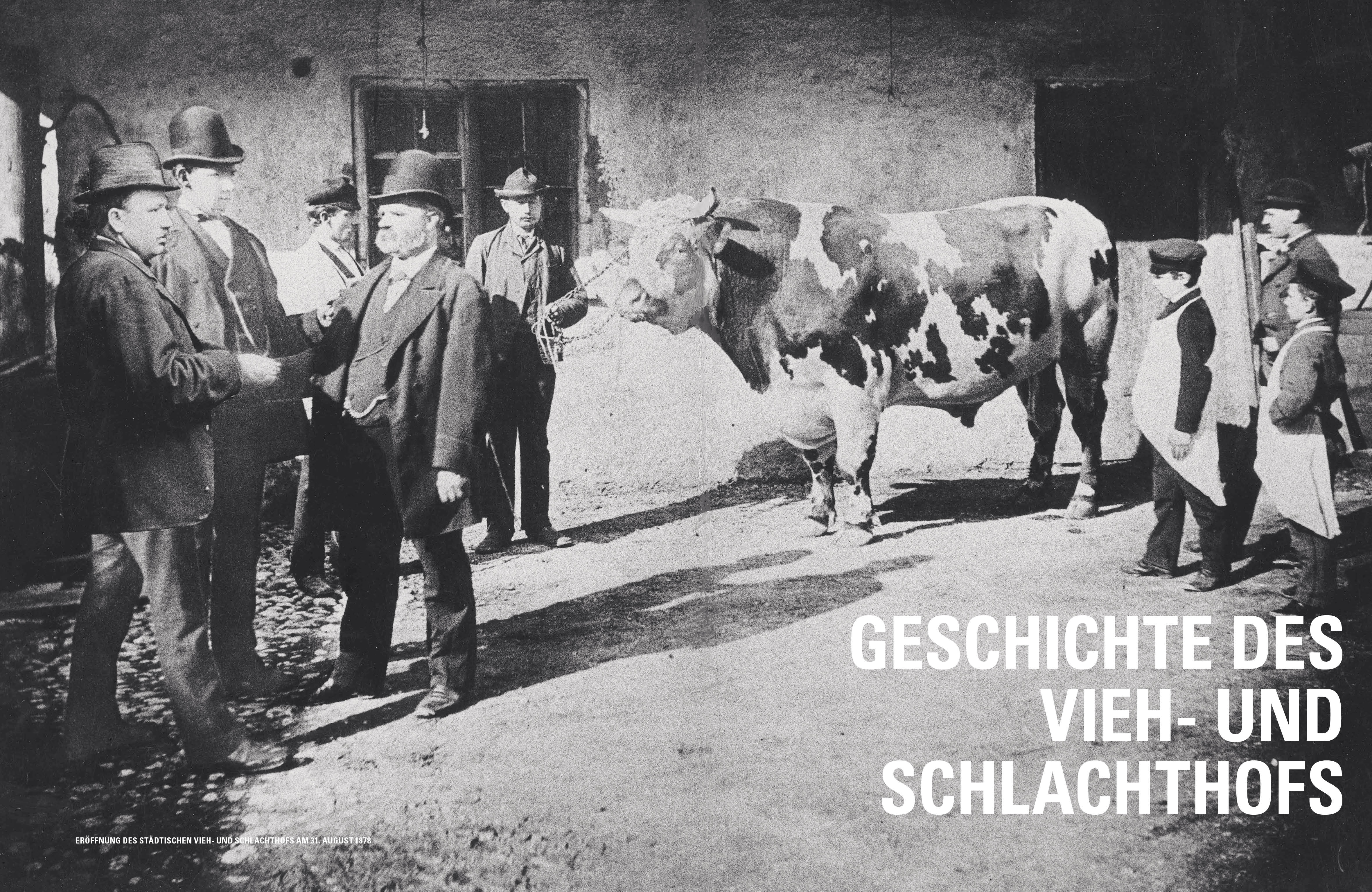 Beispielinhalt (Bild) Umbruch