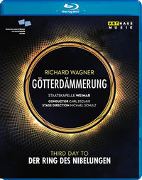 Vorderes Coverbild Götterdämmerung