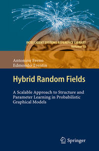 Vorderes Coverbild Hybrid Random Fields