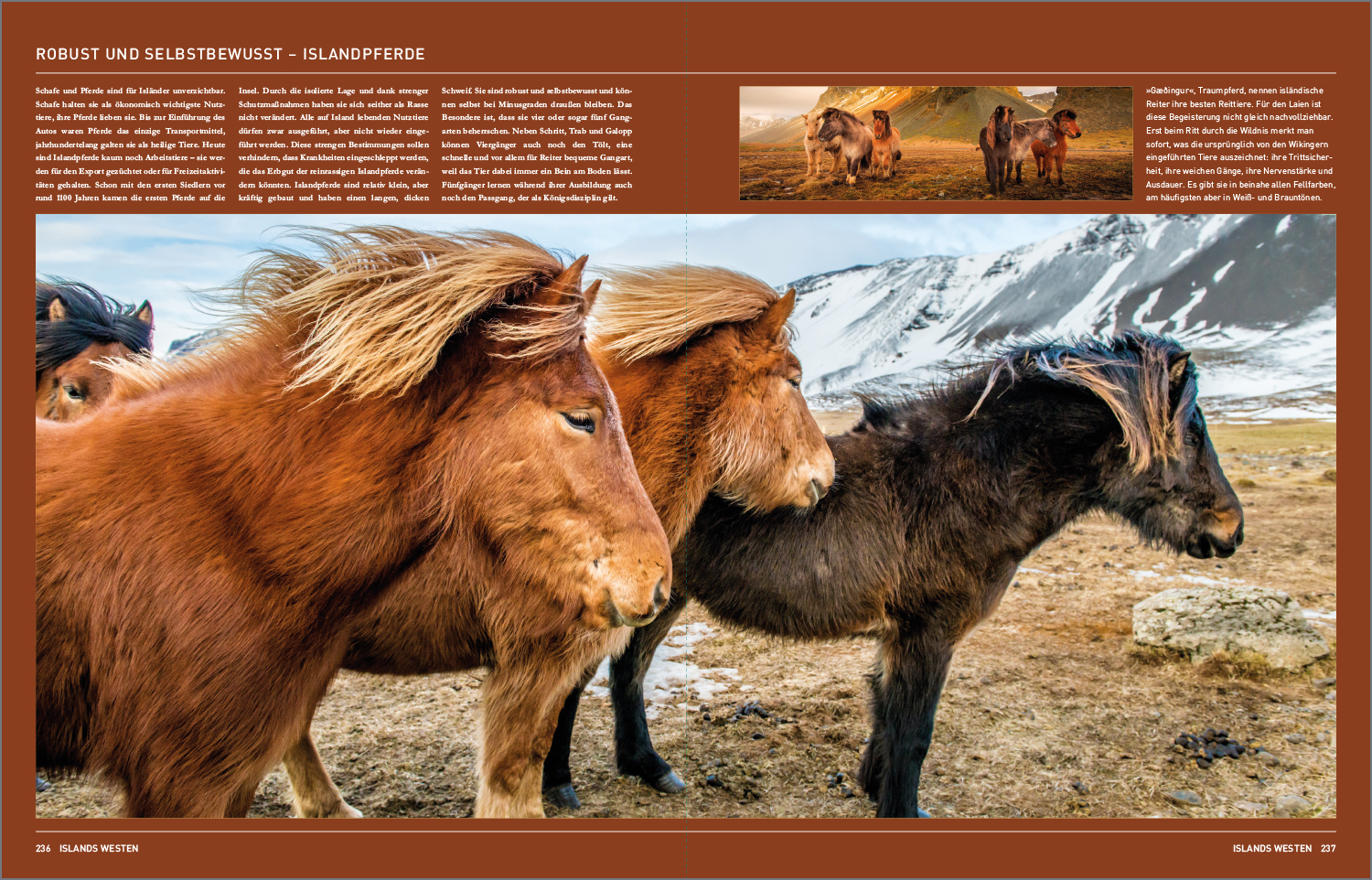 Beispielinhalt (Bild) KUNTH Island. Das Buch