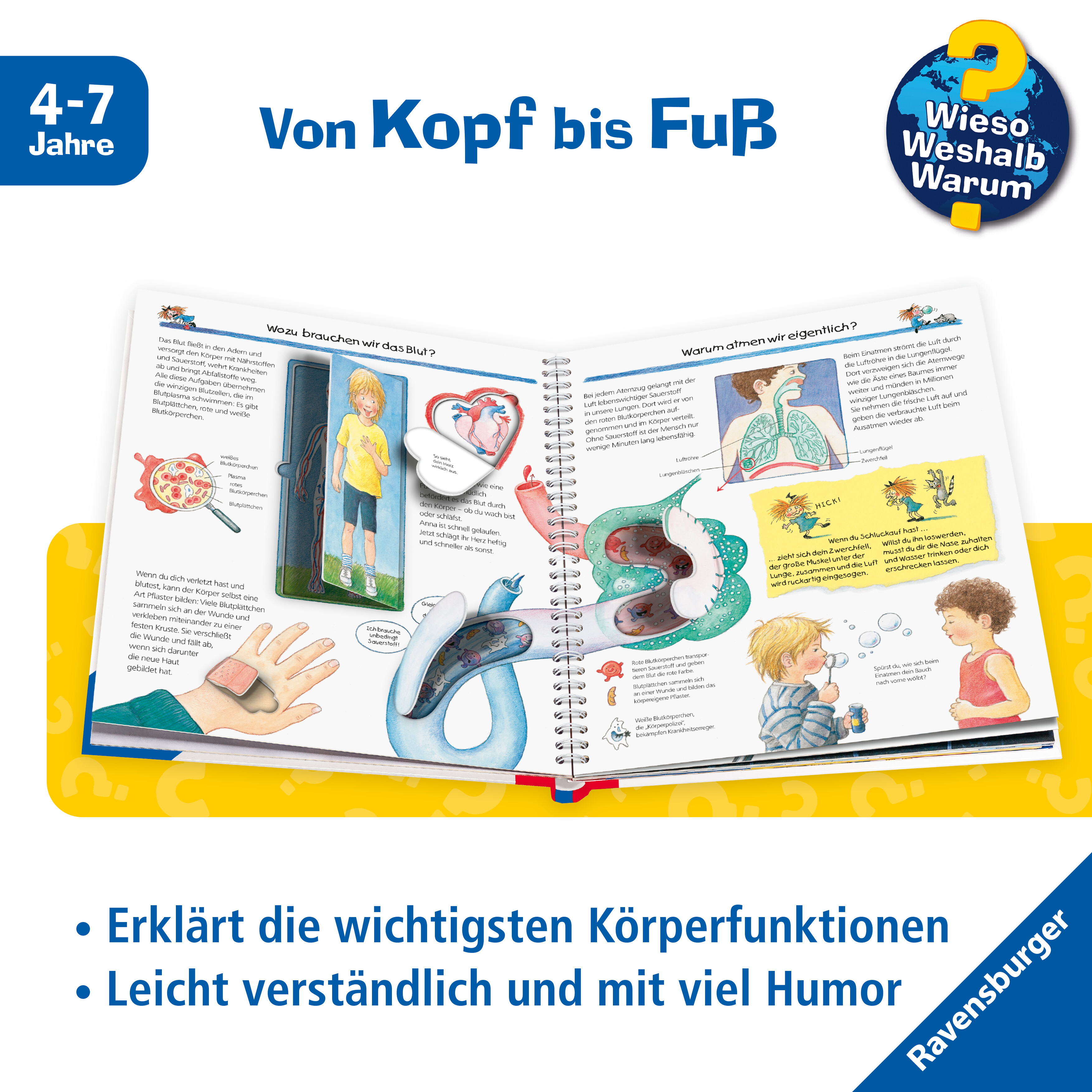 Beispielinhalt (Bild) Wieso? Weshalb? Warum? Kernreihe, Band 1 - Wir entdecken unseren Körper