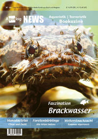 Vorderes Coverbild News Bookazine Nr.10 (Frühjahr 2021)