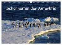 Vorderes Coverbild Schönheiten der Antarktis (Wandkalender 2025 DIN A3 quer), CALVENDO Monatskalender