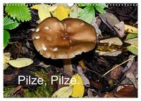 Vorderes Coverbild Pilze, Pilze (Wandkalender 2026 DIN A3 quer), CALVENDO Monatskalender