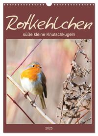 Vorderes Coverbild Rotkehlchen, süße kleine Knutschkugeln (Wandkalender 2025 DIN A3 hoch), CALVENDO Monatskalender