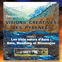 Vorderes Coverbild Visions créatives des Pyrénées
