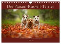 Vorderes Coverbild Die Parson-Russell-Terrier ...mit neuen Abenteuern aus der Hundeknipserei (Wandkalender 2025 DIN A4 quer), CALVENDO Monatskalender