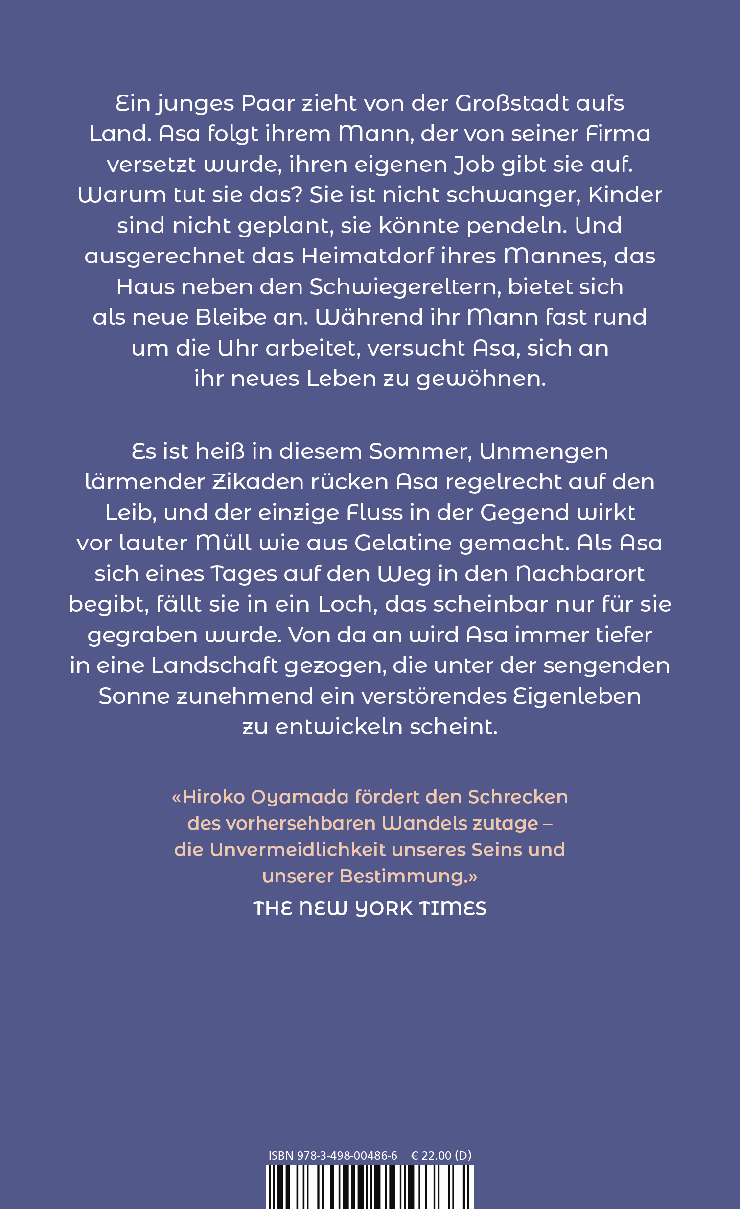 Rückseitencover Das Loch