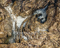 Vorderes Coverbild Cristina Iglesias