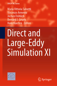 Vorderes Coverbild Direct and Large-Eddy Simulation XI
