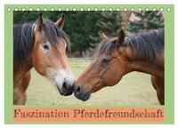 Vorderes Coverbild Faszination Pferdefreundschaft (Tischkalender 2025 DIN A5 quer), CALVENDO Monatskalender