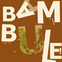 Vorderes Coverbild Bambule!